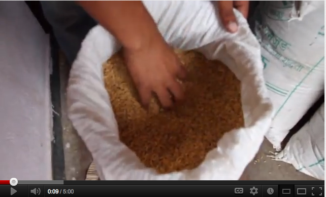 FARMD Production Risk in Rice Video